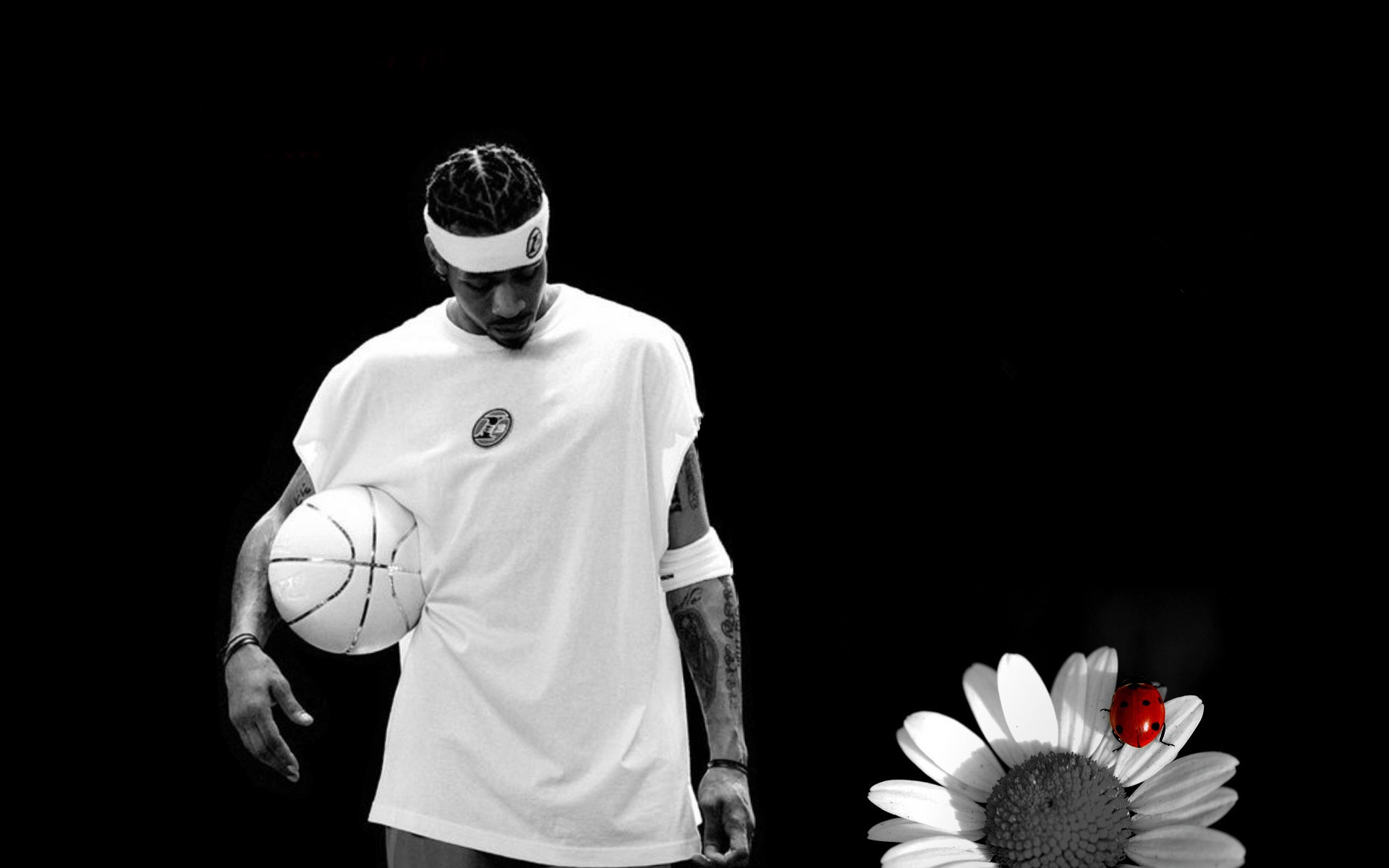 的标准化流 的标准化流